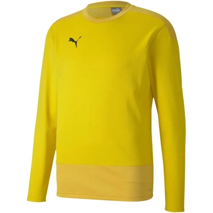 Puma TEAMGOAL 23 TRAINING SWEAT