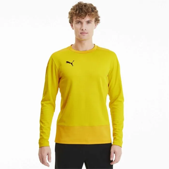 Puma TEAMGOAL 23 TRAINING SWEAT